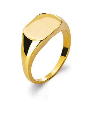 Siegel Ring Gelbgold 750 poliert